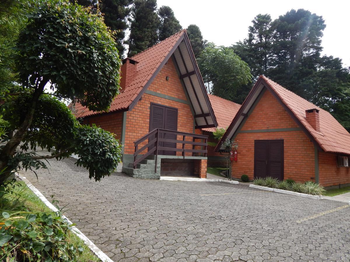 Jardim De Flores